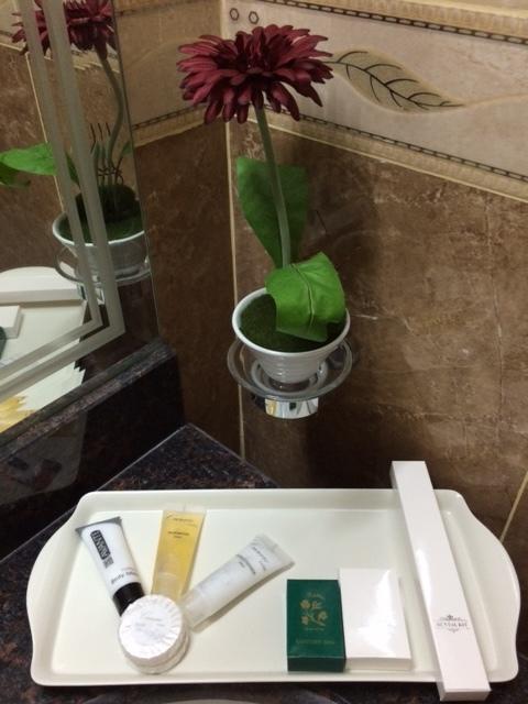 Doha Dynasty Hotel Camera foto